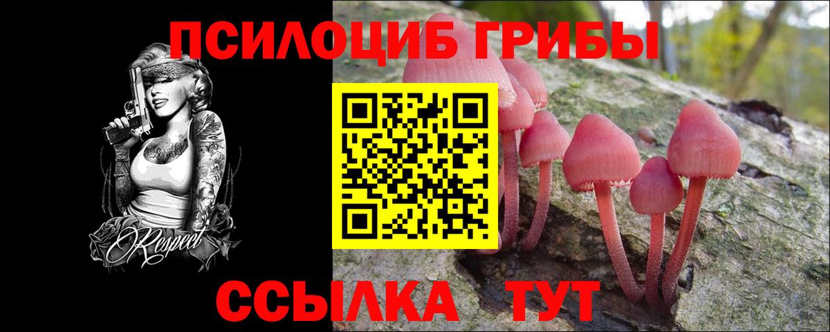 Кунгур  цена наркотик  Вход с VPN  Галлюциногенные грибы Psilocybine cubensis 